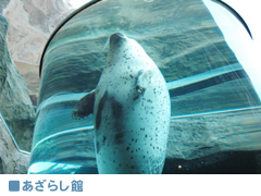 炵
