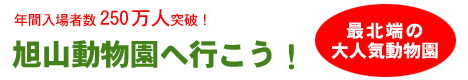 旭山動物園へ行こう!
